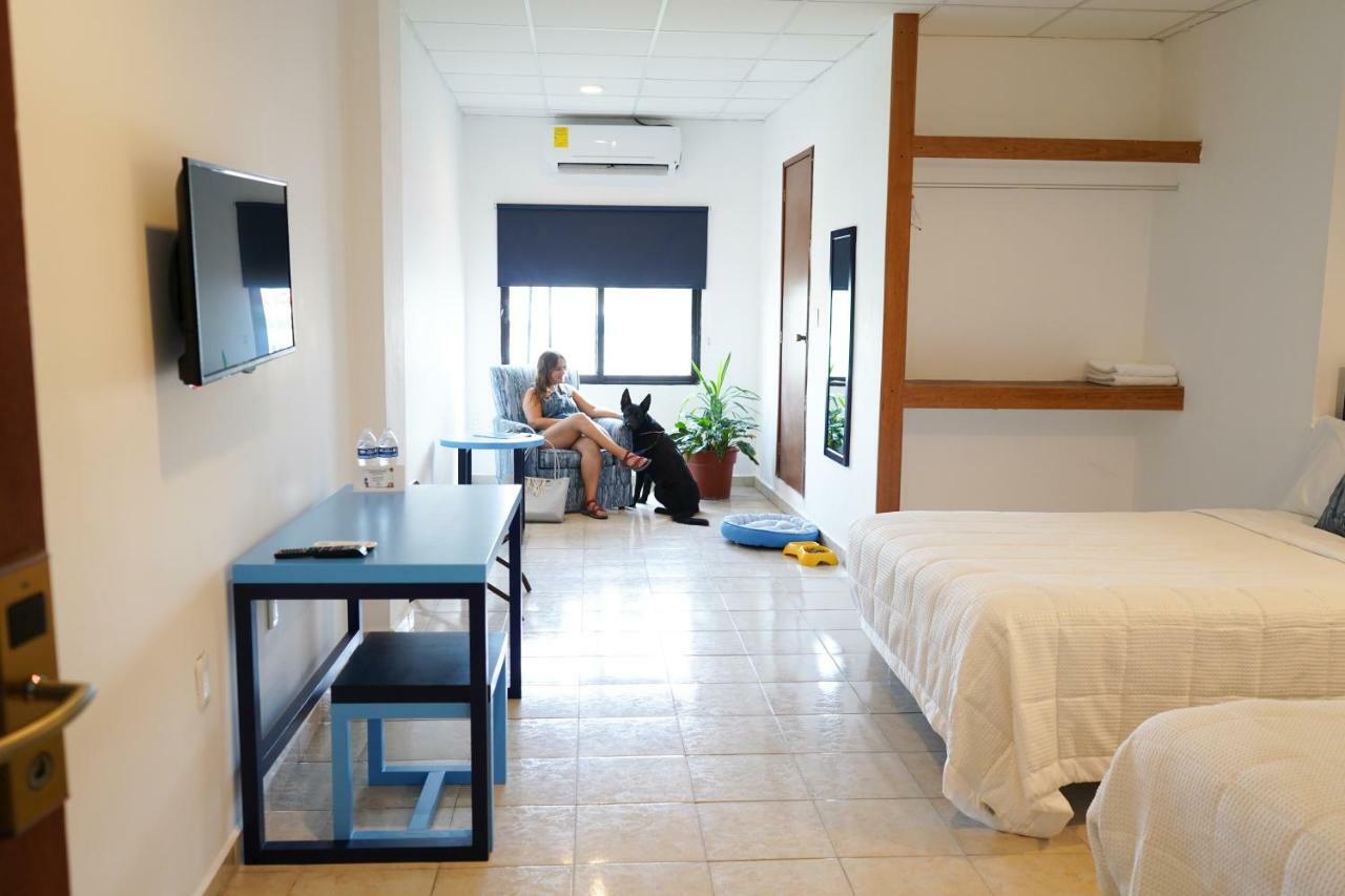 Hotel & Suites Arges - Centro 切图马尔 外观 照片